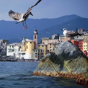 https://il-camogli.hotelitalianriviera.com